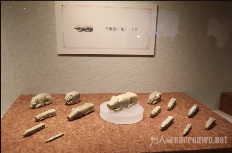 藏猪文物展