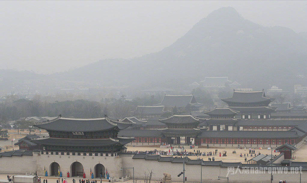 网络图片