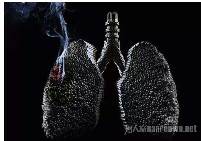 抽烟的人吃什么好