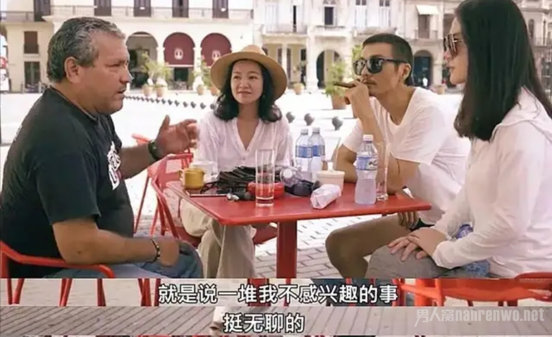 真人秀明星性格