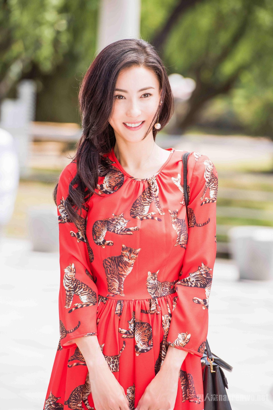 张柏芝