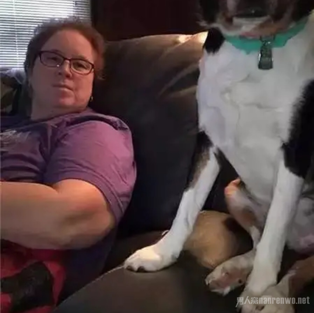 ͼƬ