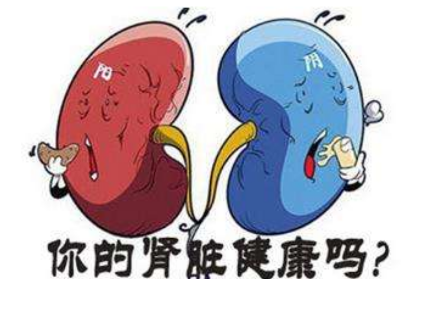 ��ʲô��������