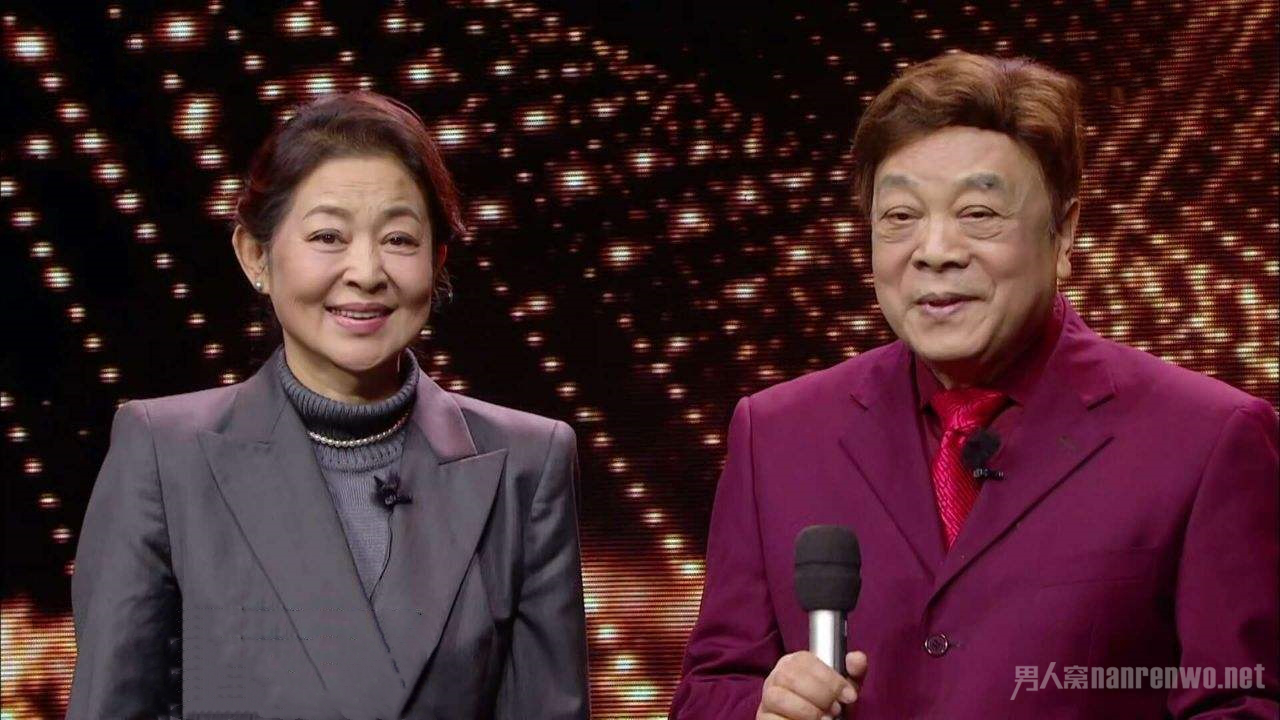 赵忠祥,倪萍