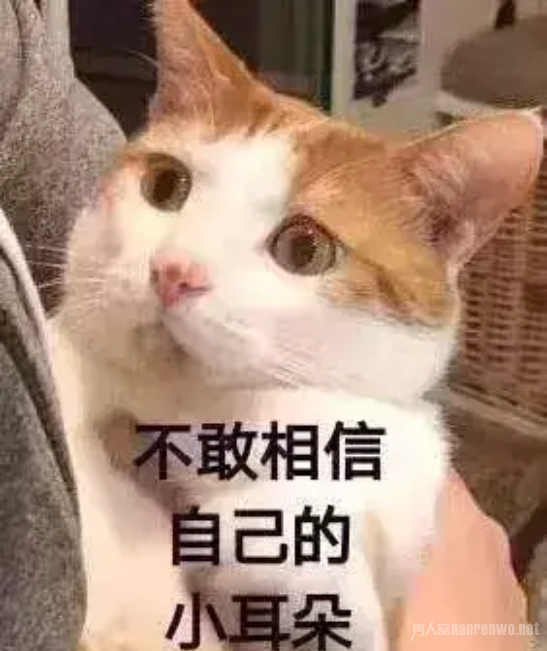福清多人约玩换妻游戏