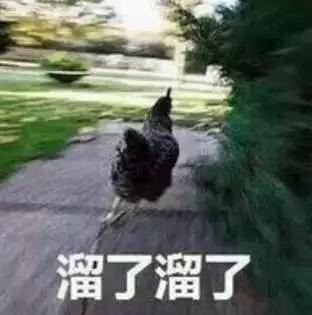 ͼƬ6