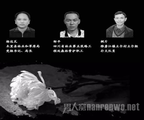 凉山火灾新增牺牲扑火人员