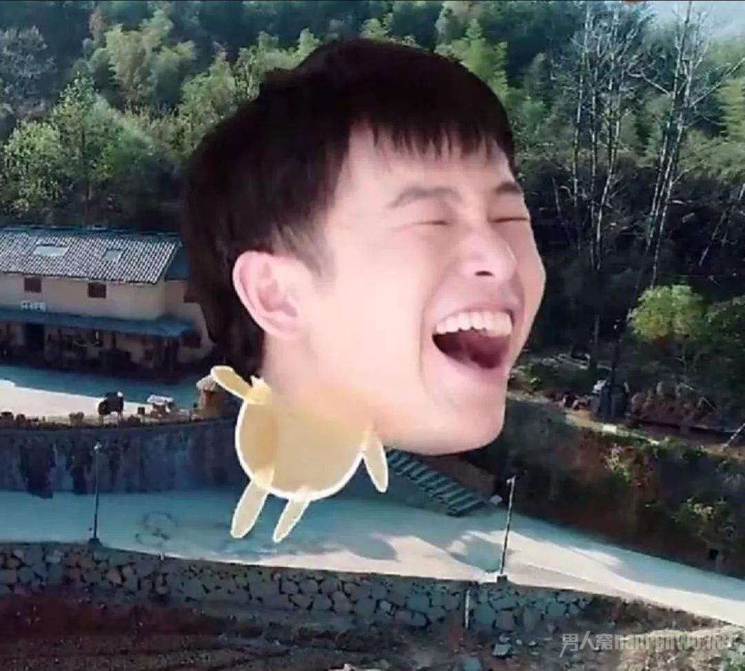ų