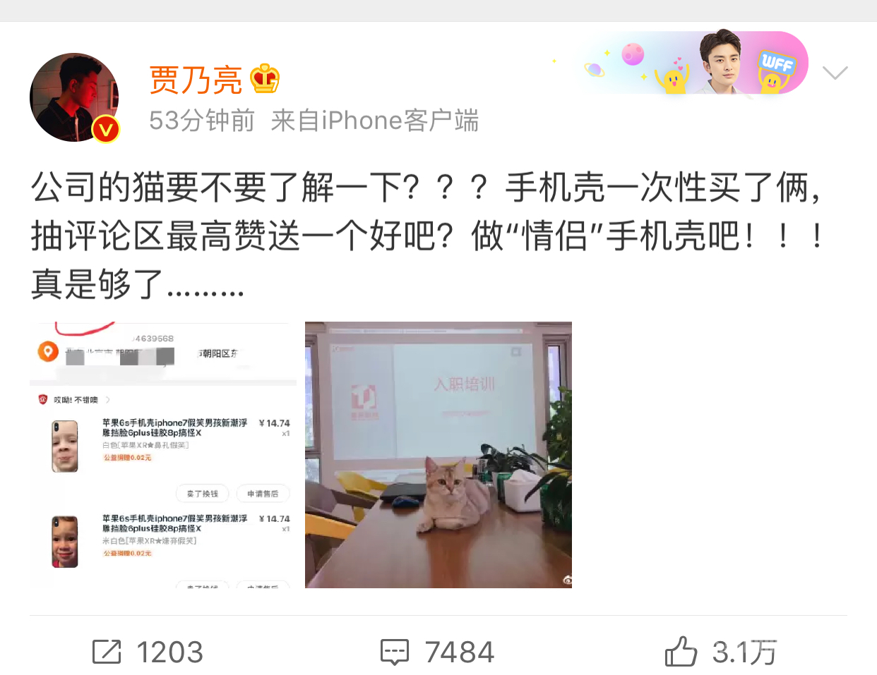 贾乃亮否认与金晨恋情
