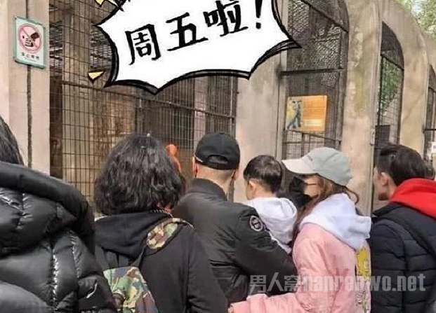 去年Angelababy也逛动物园