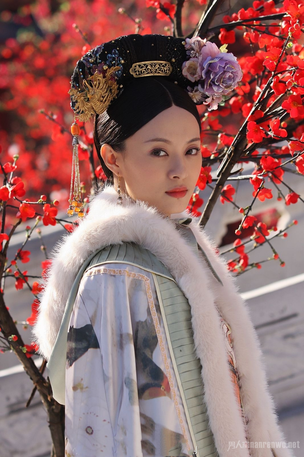 《甄嬛传》