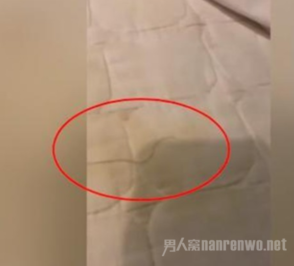 򼣣