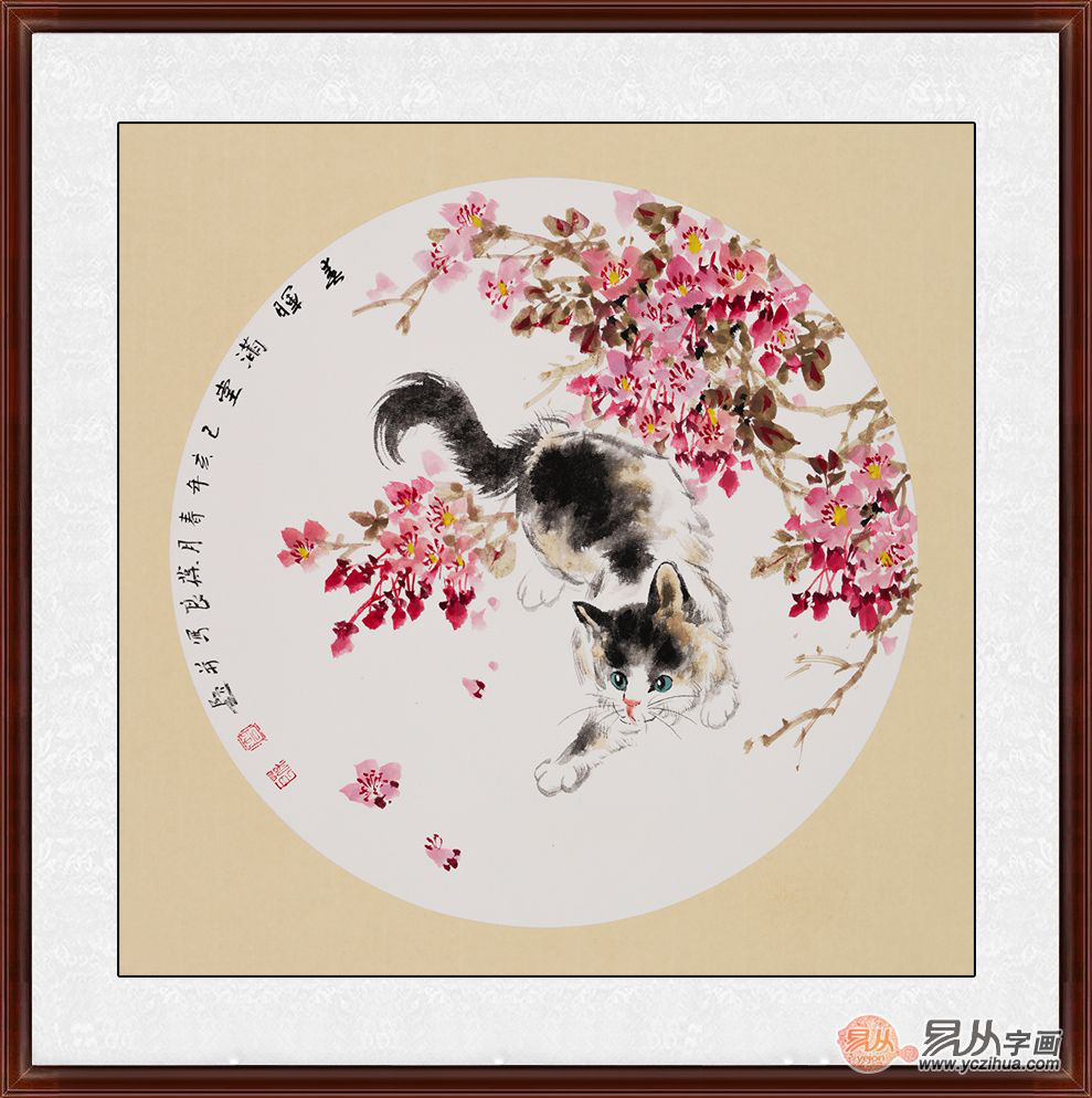 图片7