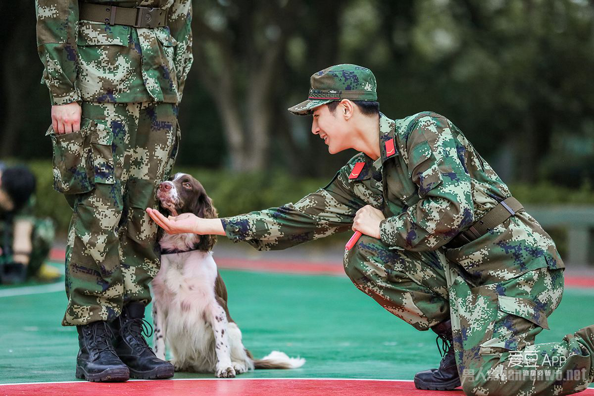 奇兵神犬