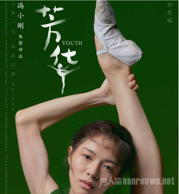 电影芳华