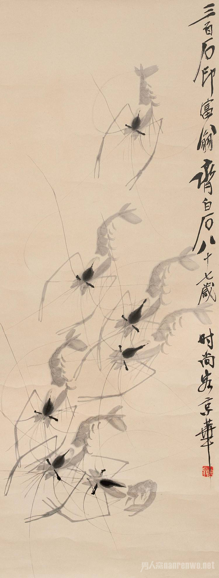 图片4