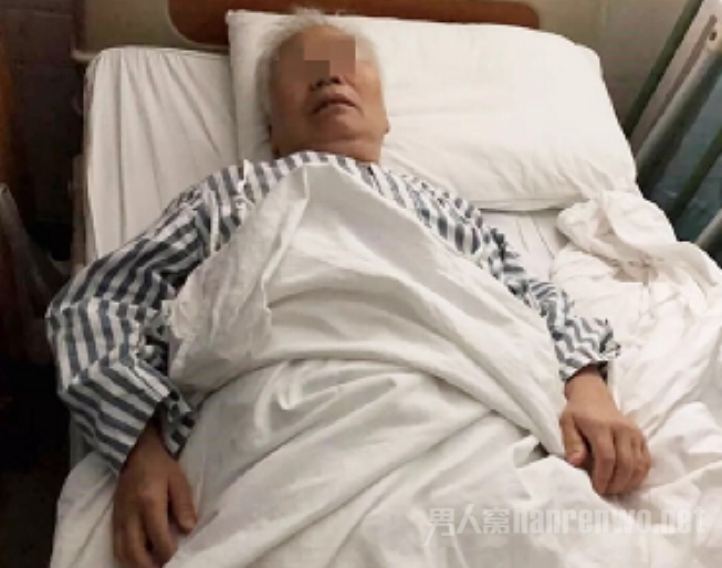 贵宾犬主打老人