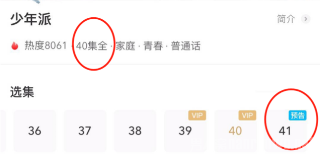 少年派41集