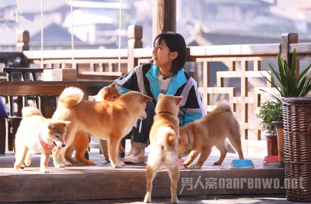 向往的生活