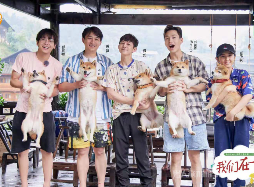 刘宪华为什么不参加向往的生活