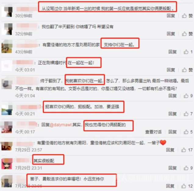 网友评论内容