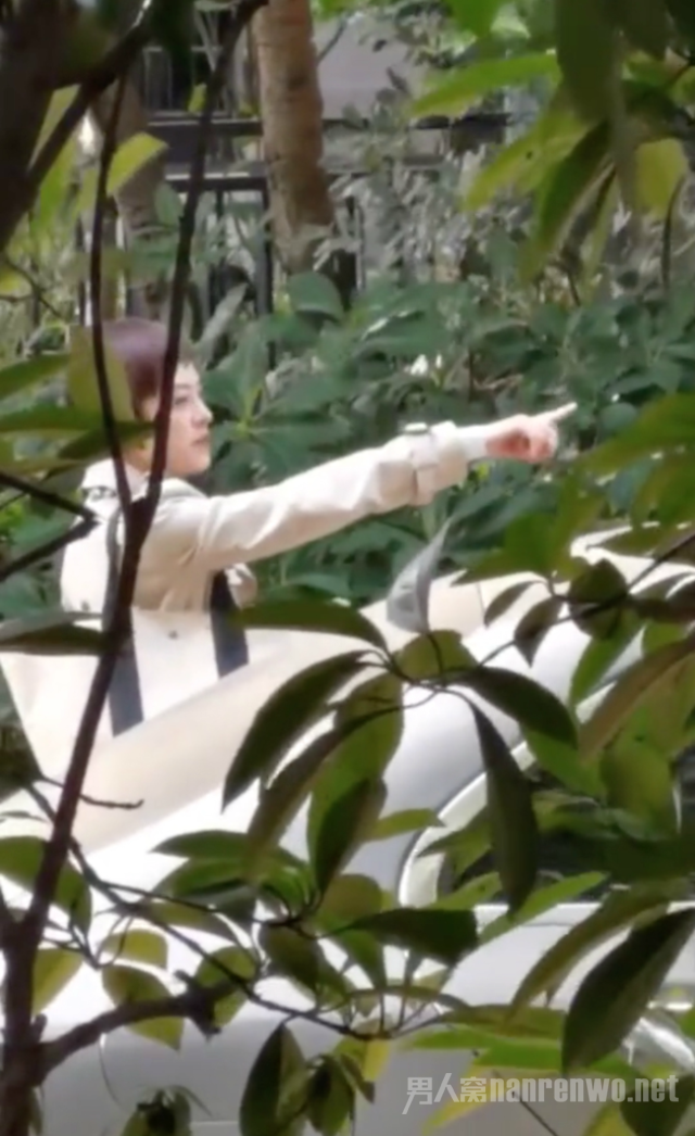 孙俪请求停止拍摄