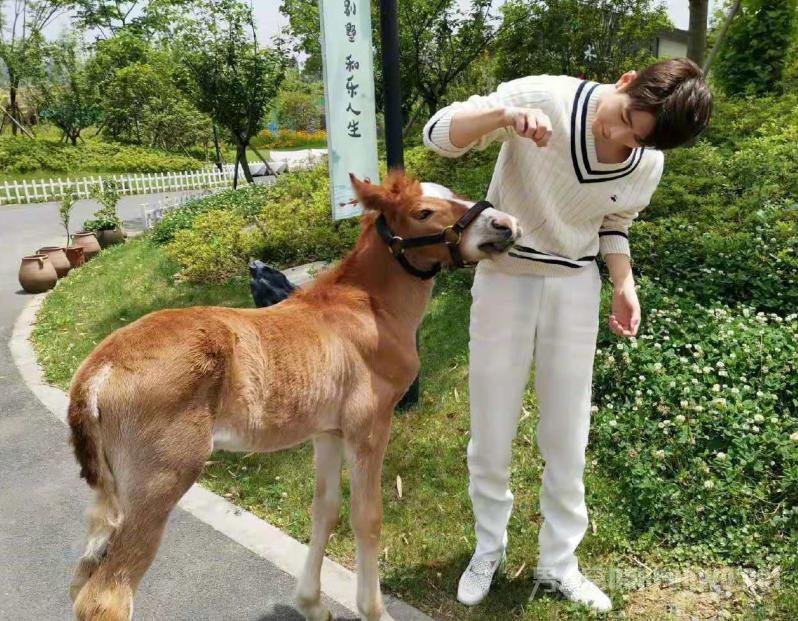 陈学冬上综艺