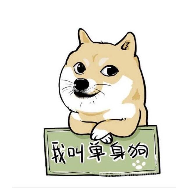 “单身狗”