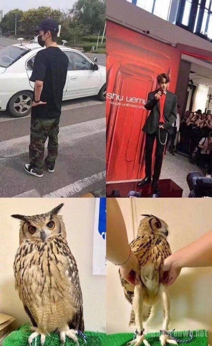 王一博大长腿