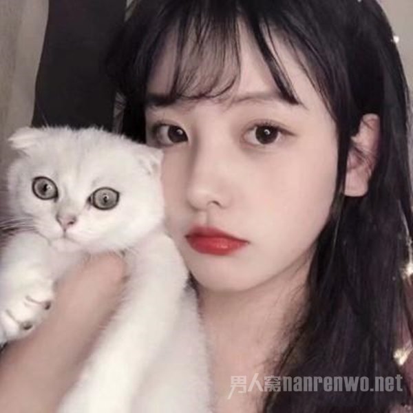 情感