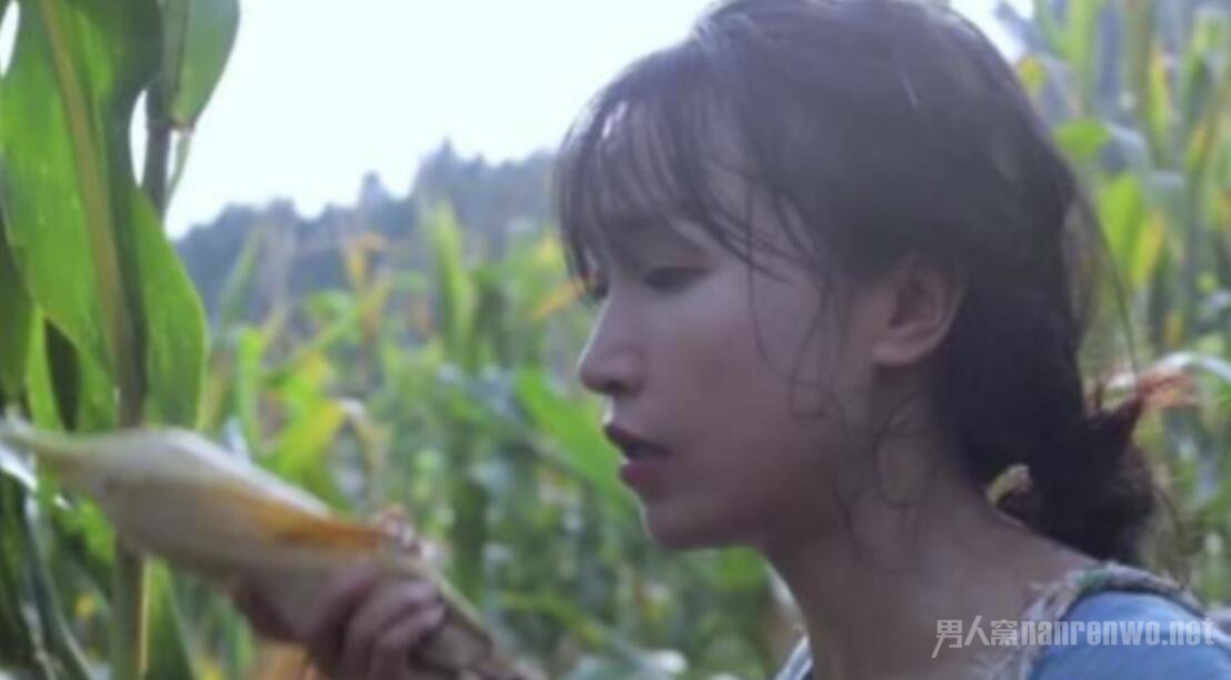 李子染最新一期的视频