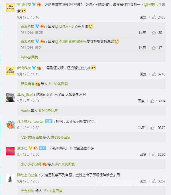 网友们的反应