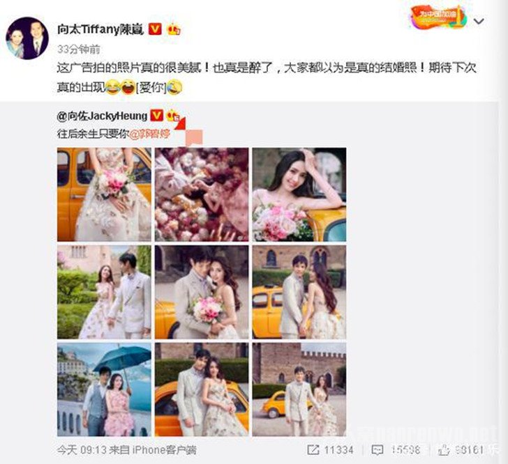 向太否认向佐结婚
