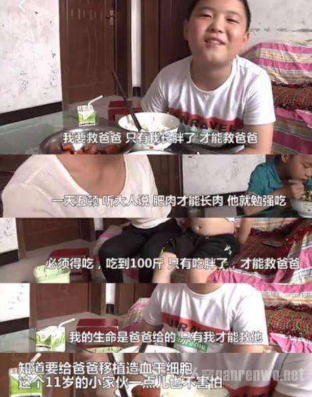 路子宽增肥