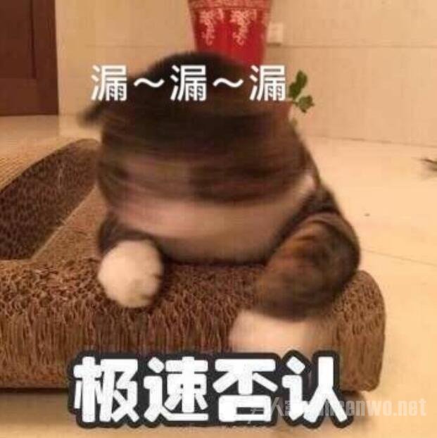 沈月微博