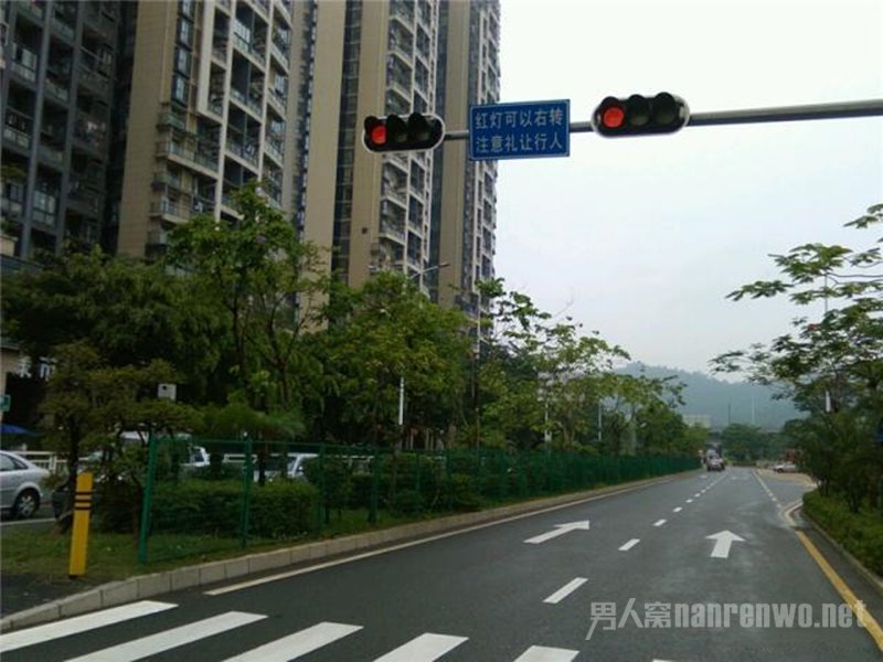 会提前预测红绿灯