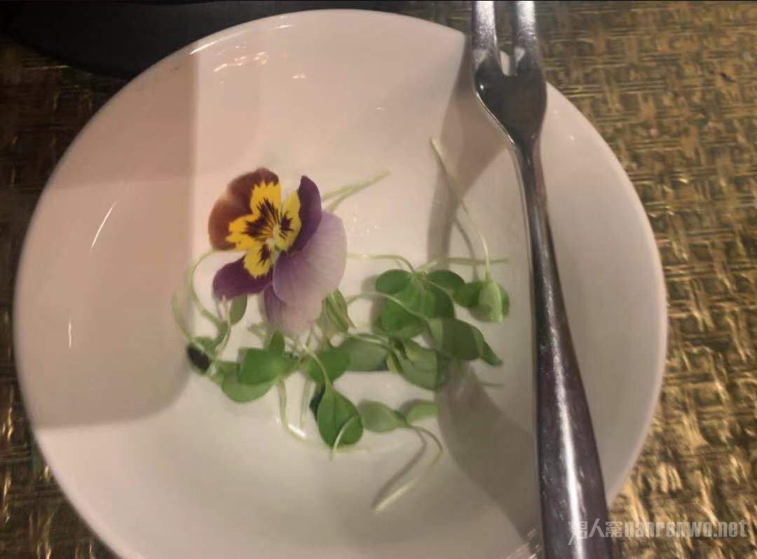 ɹͻӦ