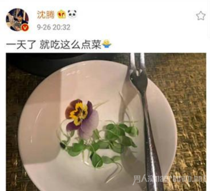 沈腾发微博