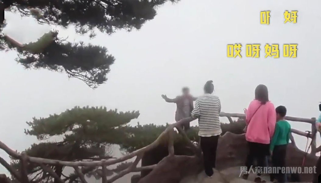 游客爬到黄山悬崖的松树上拍照