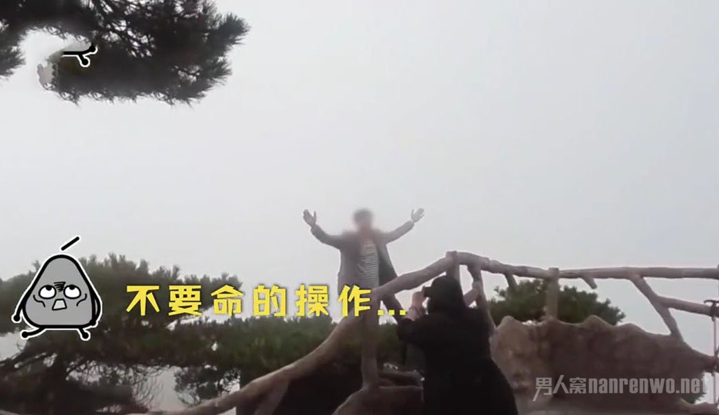 游客爬到黄山悬崖的松树上拍照