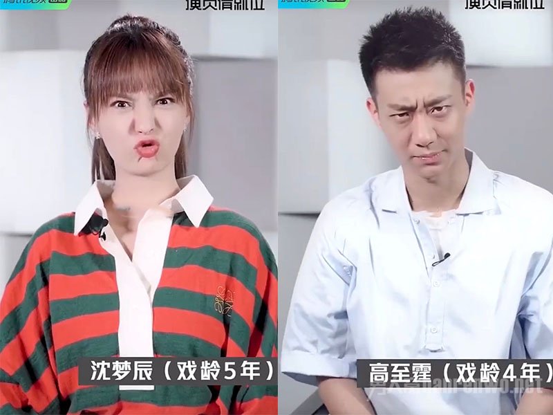 沈梦辰和高至霆