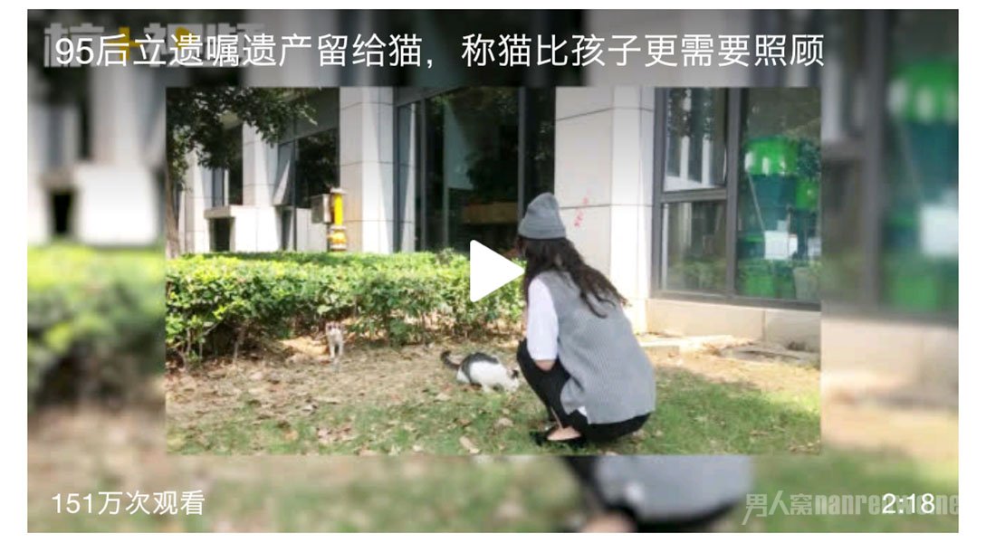 95后立遗嘱财产留给猫