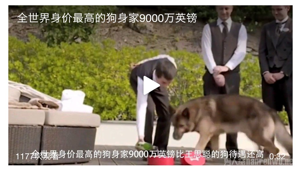 95后立遗嘱财产留给猫