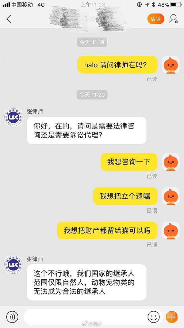 95后立遗嘱财产留给猫