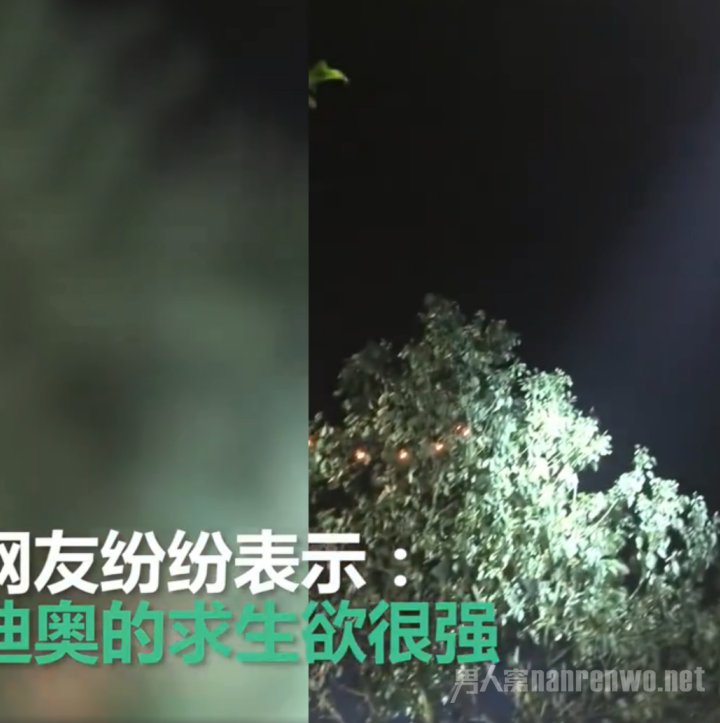 出席活动的时尚博主全方位呈现了这一“盛况”