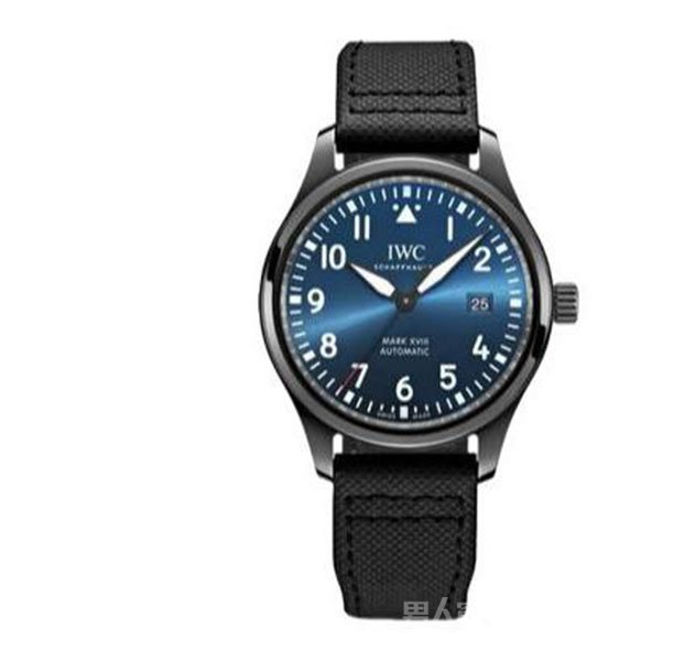 IWCԱϵIW324703