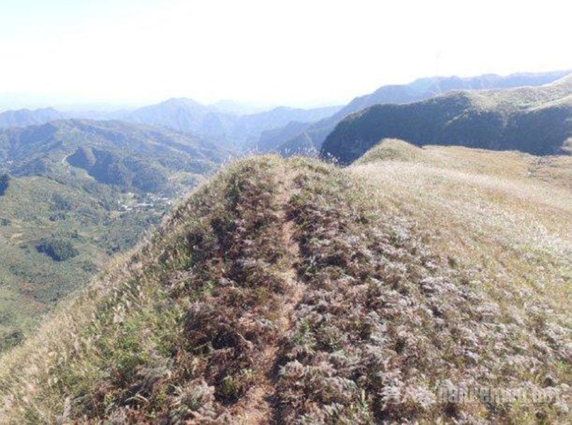 陈情令取景荒山被粉丝走出条路
