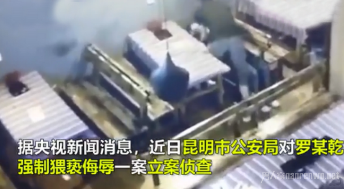 李心草生前遭遇了什么