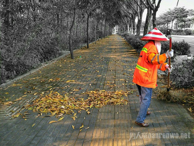 环卫工用高压水枪打黄叶