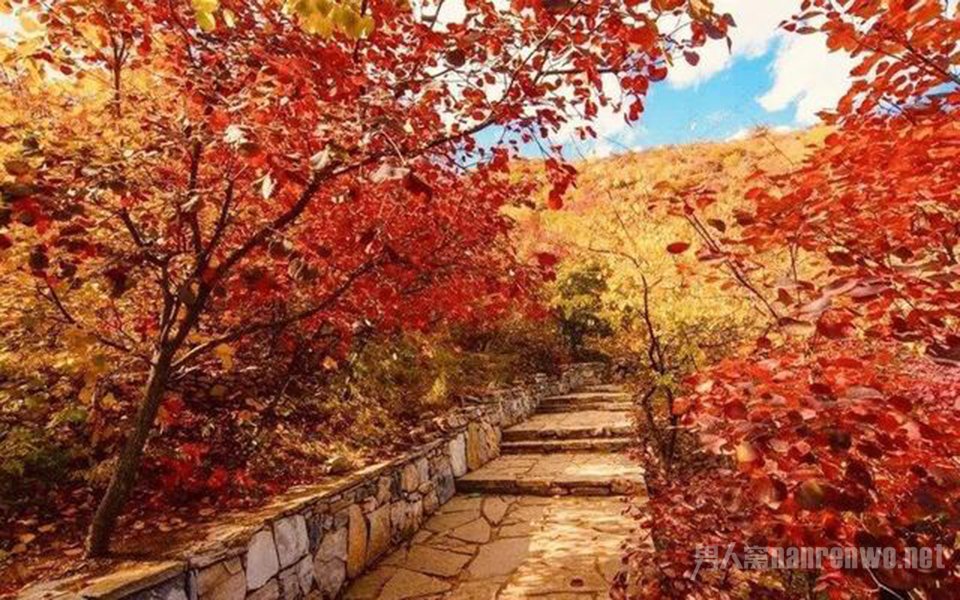 �ʺ�ȫ��һ��ȥ��3�����е�